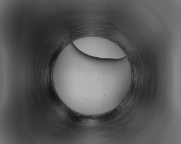 X0000088150506200705141054