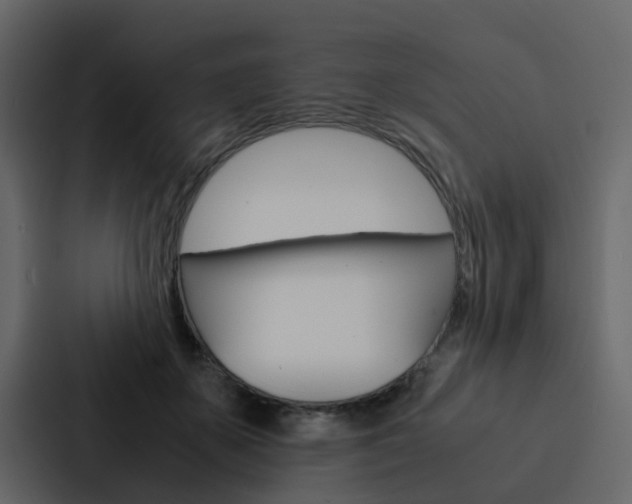 X0000088150507200705141054