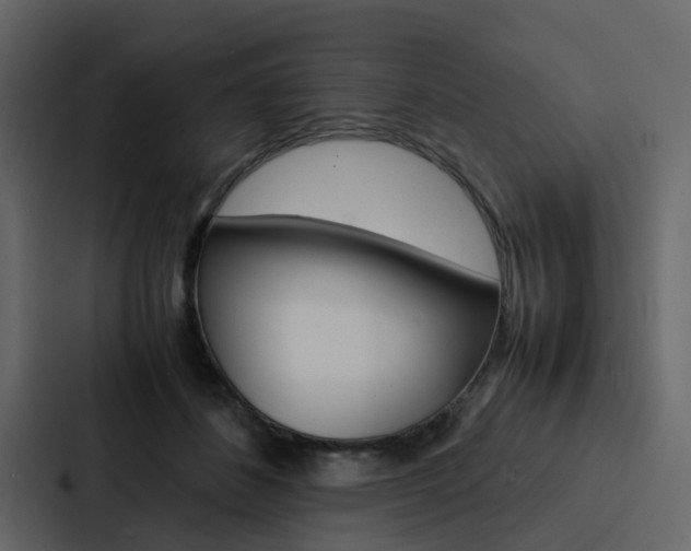 X0000088150508200705141054