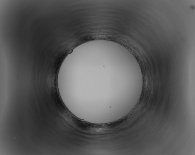 X0000088150514200705141054