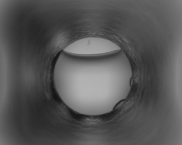 X0000088150515200705141054