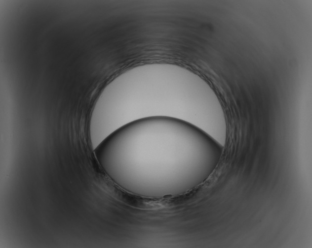 X0000088150516200705141054