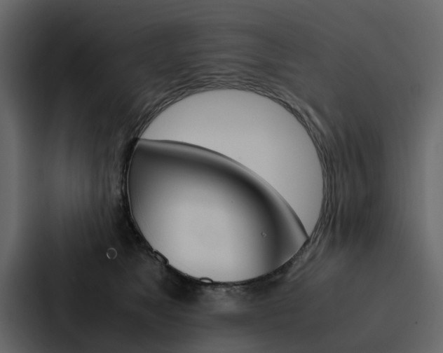 X0000088150517200705141054