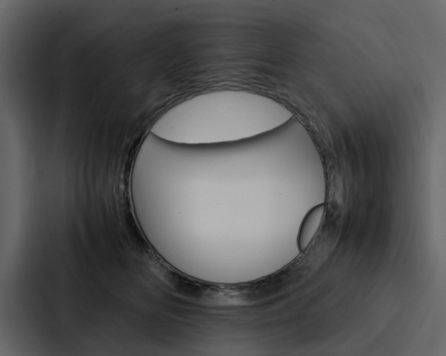 X0000088150518200705141054