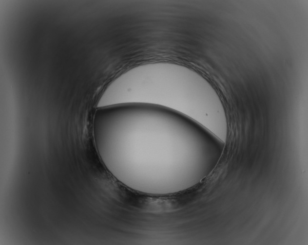 X0000088150520200705141054