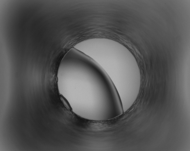 X0000088150521200705141054
