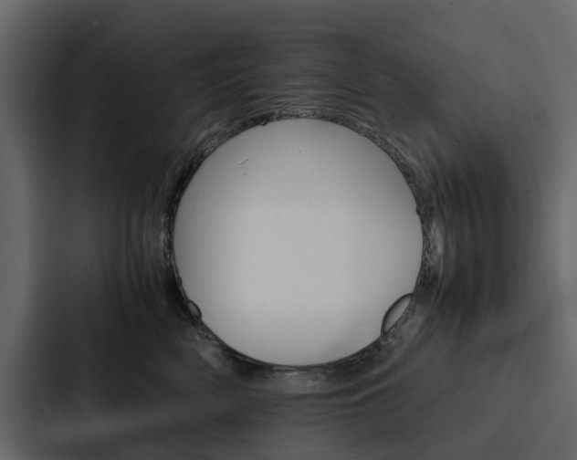 X0000088150522200705141054