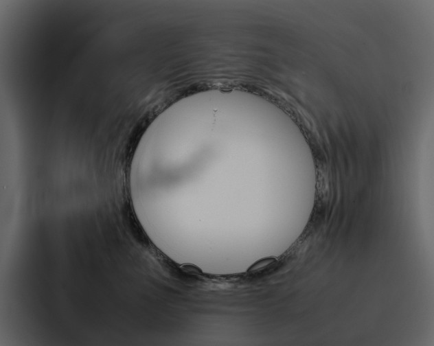 X0000088150523200705141054