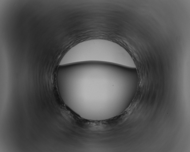 X0000088150524200705141054