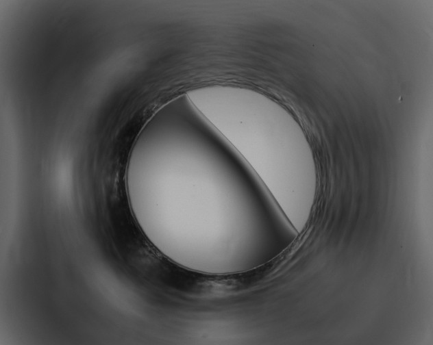X0000088150525200705141054