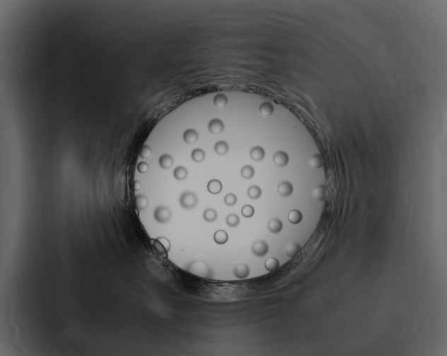 X0000088150527200705141054