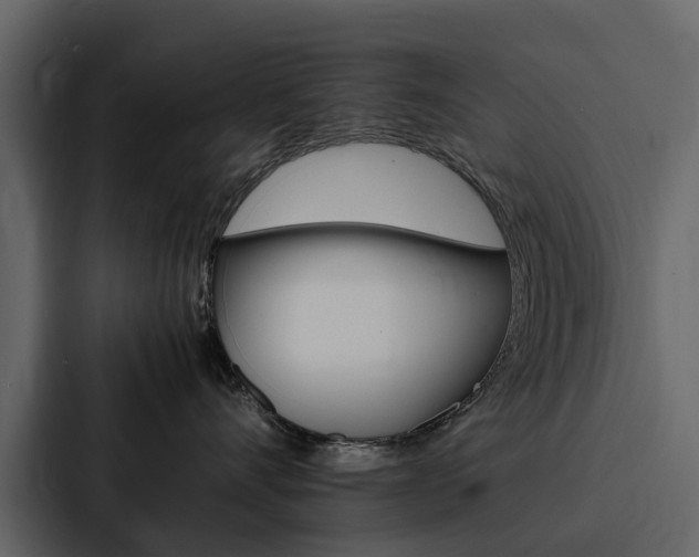 X0000088150528200705141054