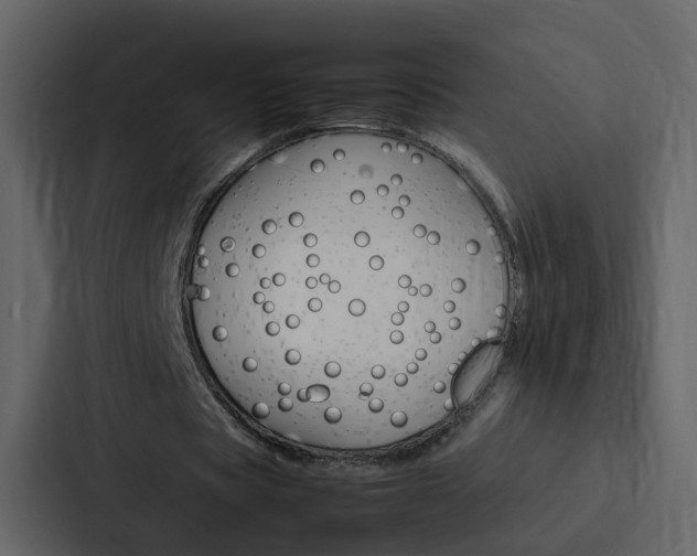 X0000088150529200705141053