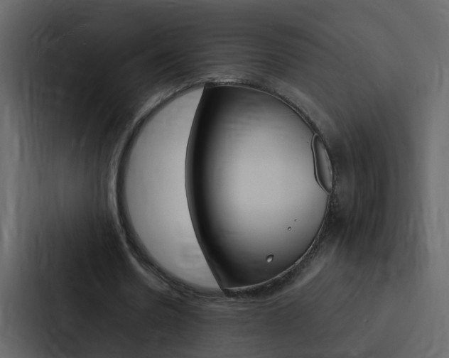 X0000088150530200705141053