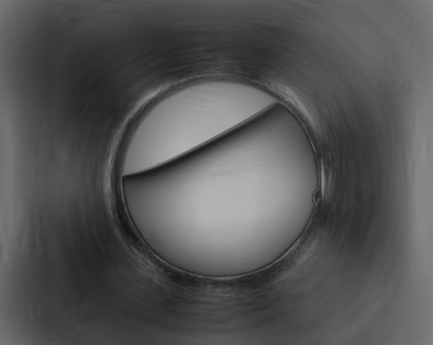X0000088150531200705141053