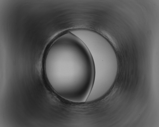 X0000088150532200705141053