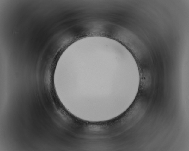 X0000088150534200705141053