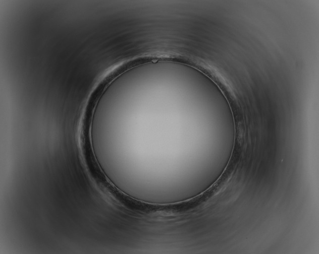 X0000088150536200705141053