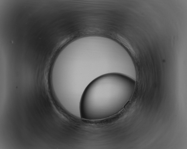 X0000088150538200705141053