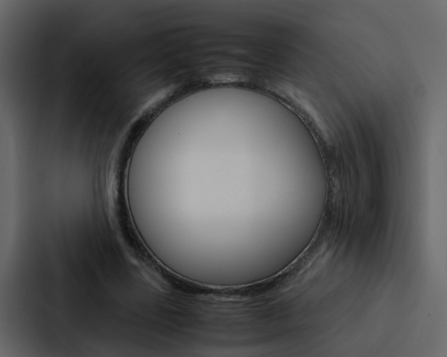 X0000088150539200705141053
