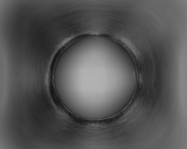 X0000088150540200705141053