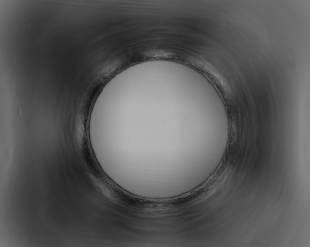 X0000088150541200705141053