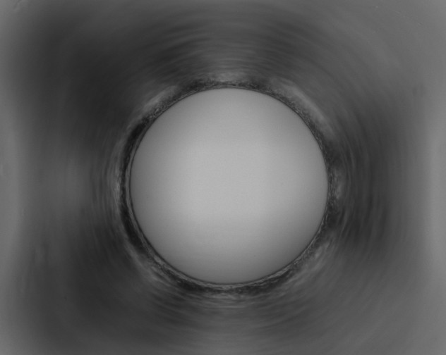 X0000088150542200705141053