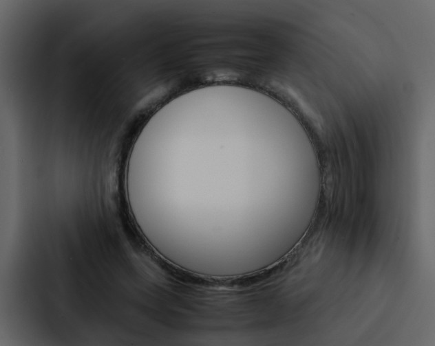 X0000088150543200705141053