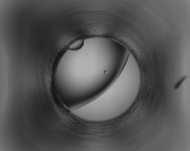 X0000088150544200705141053
