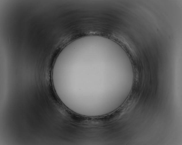 X0000088150545200705141053