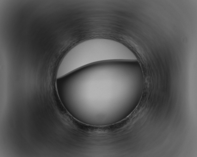 X0000088150546200705141053