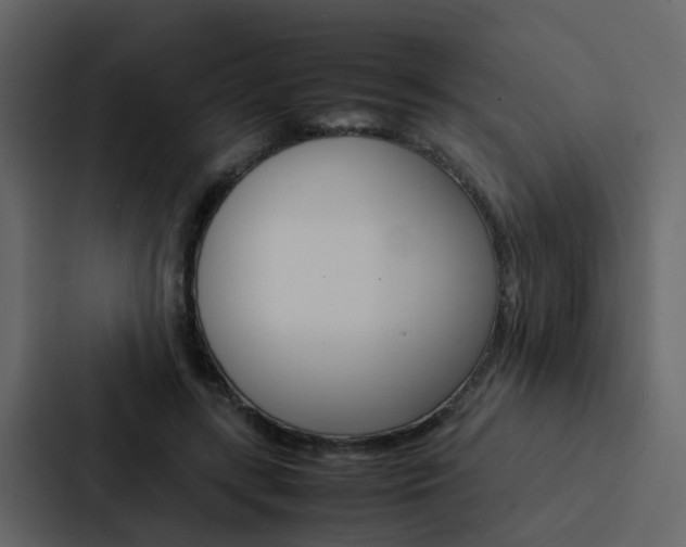 X0000088150547200705141053