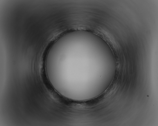 X0000088150548200705141053