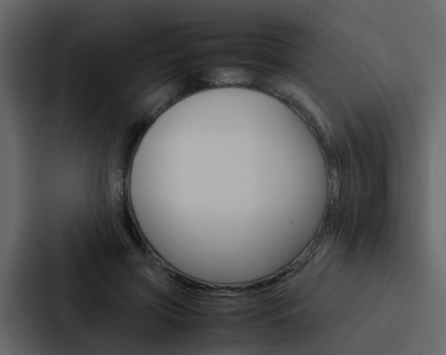 X0000088150549200705141053
