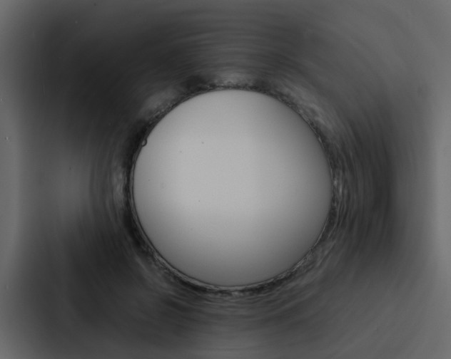 X0000088150550200705141053