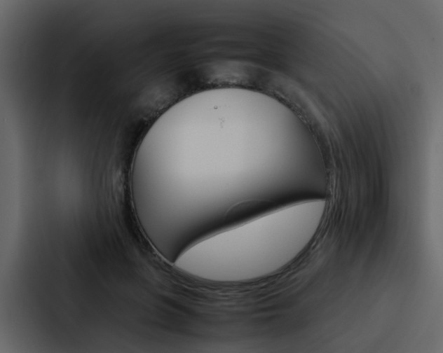 X0000088150551200705141053