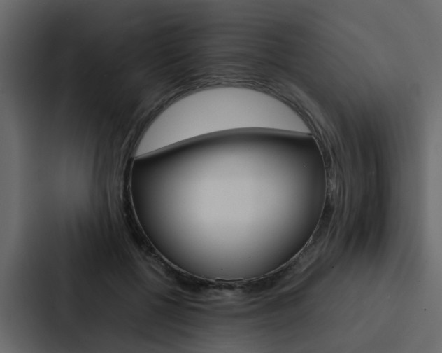 X0000088150552200705141053