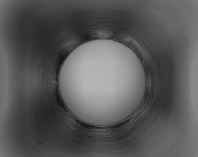 X0000088150553200705141053