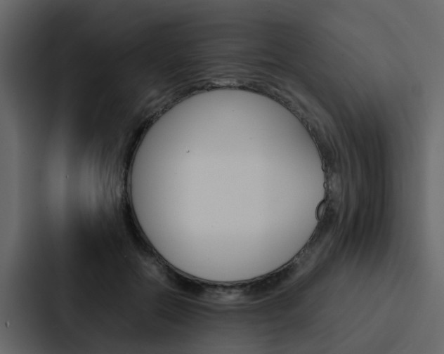 X0000088150554200705141053