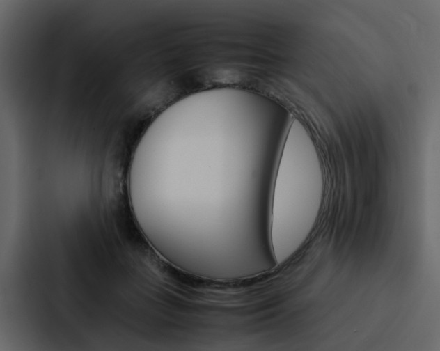 X0000088150555200705141053