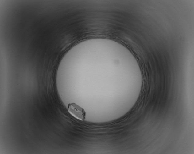 X0000088150556200705141054