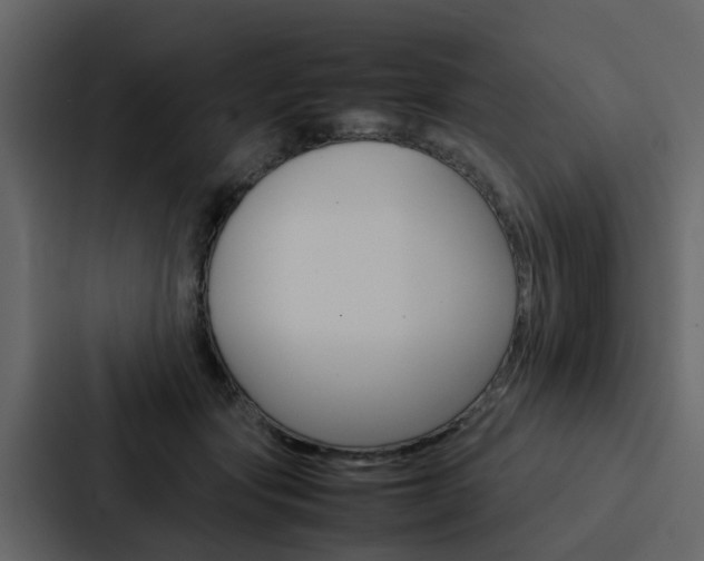 X0000088150557200705141054