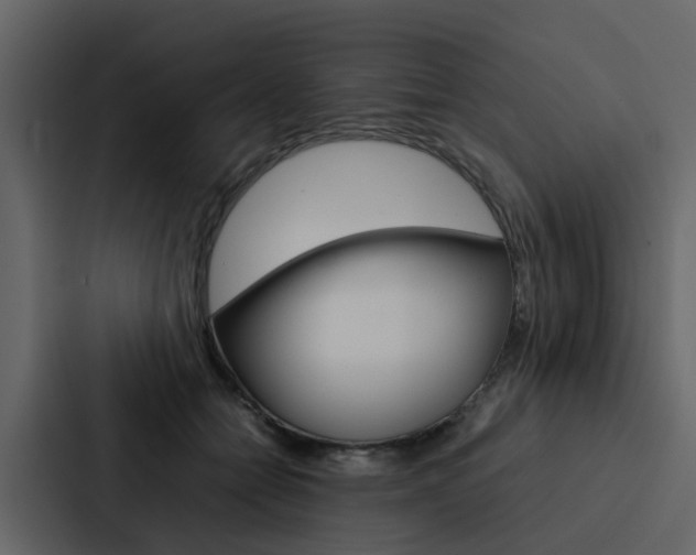 X0000088150558200705141054