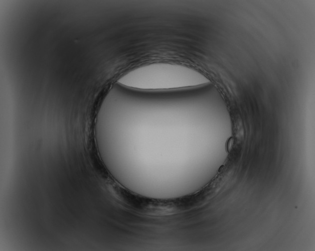 X0000088150559200705141054