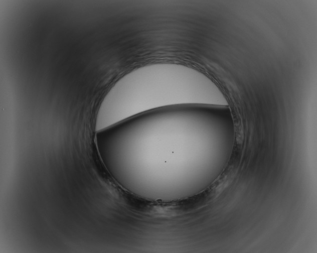 X0000088150560200705141054