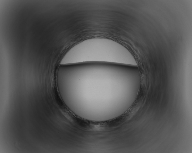 X0000088150564200705141054