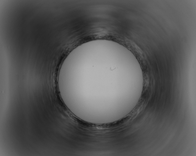 X0000088150565200705141054