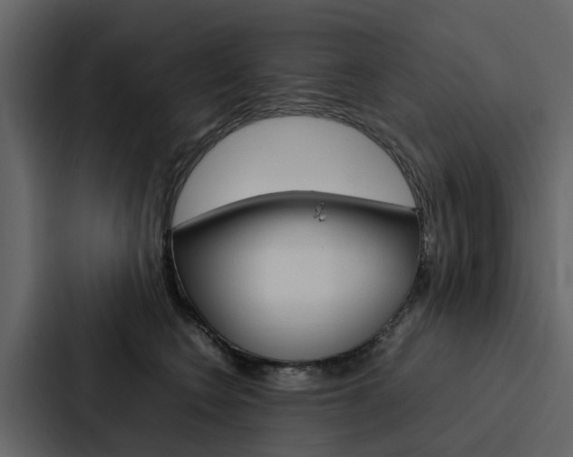 X0000088150566200705141054
