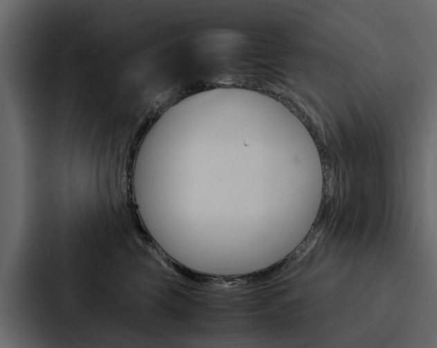 X0000088150569200705141054