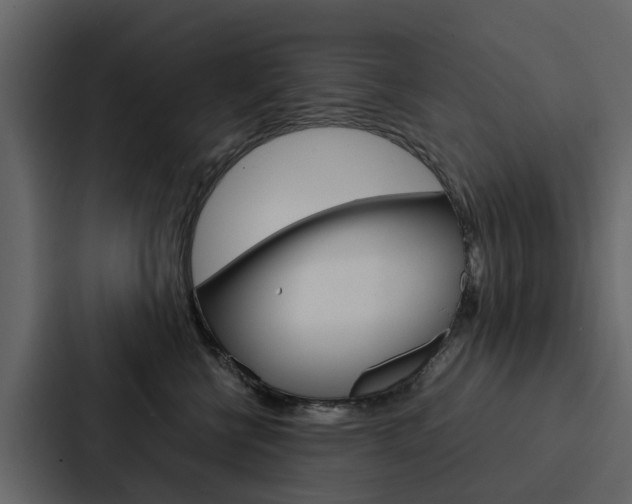 X0000088150570200705141054